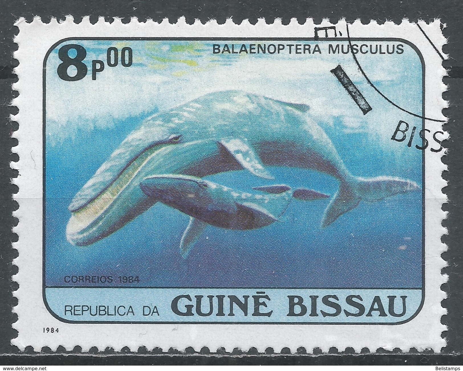 Guinea-Bissau 1984. Scott #598 (U) Balaenoptera Musculus, Whales, Baleine * - Guinée-Bissau