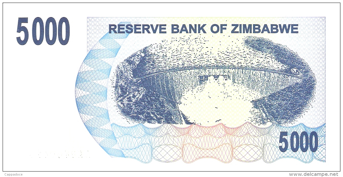 ZIMBABWE   5000 Dollars   1/2/2007   P. 45   UNC - Zimbabwe