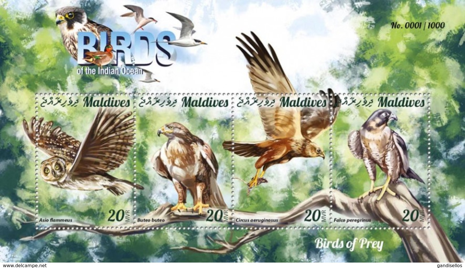 MALDIVES 2015 SHEET BIRDS OF PREY OISEAUX DE PROIE AVES DE PRESA RAPACES RAPACI PASSAROS UCCELLI Mld15-1203a - Maldivas (1965-...)