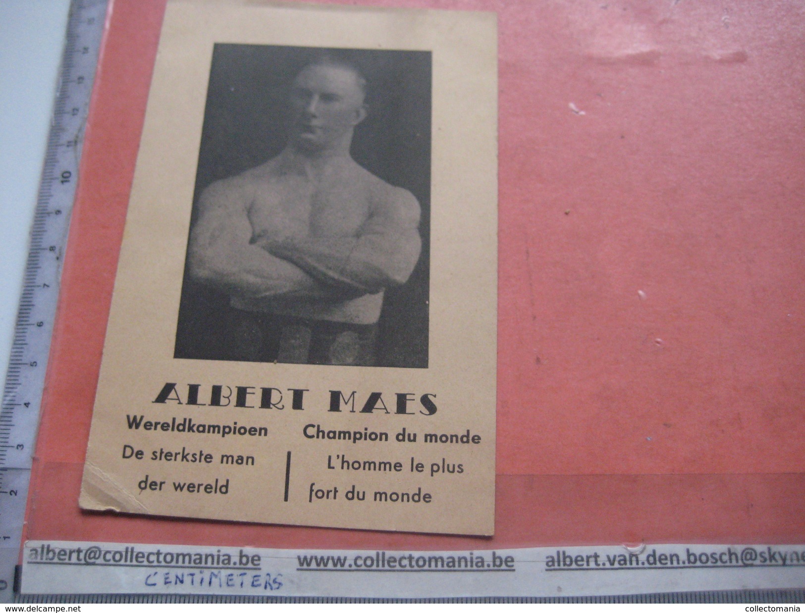 many cards, all photograped: photos, tradecards, cards, labels,  LUTTE 1907 poster stamp; Siam kick boxing ; ALBERT MAES