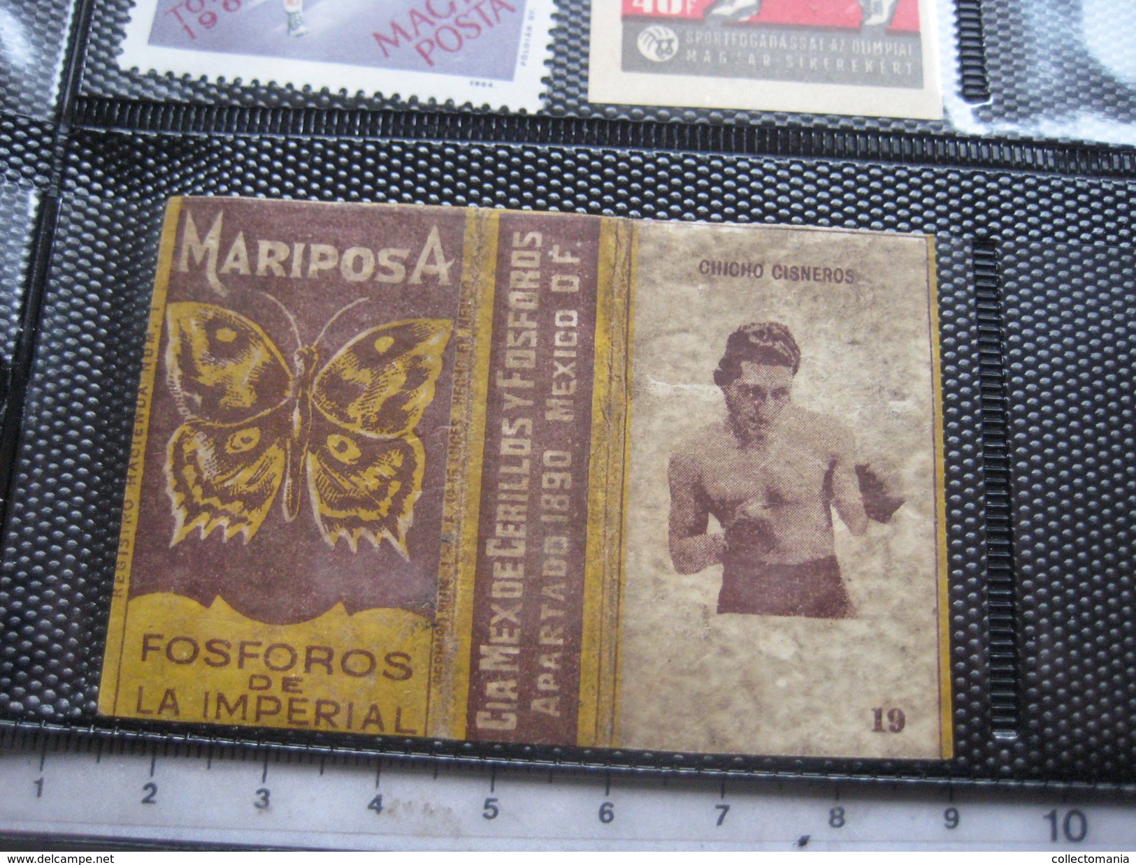 many cards, all photograped: photos, tradecards, cards, labels,  LUTTE 1907 poster stamp; Siam kick boxing ; ALBERT MAES