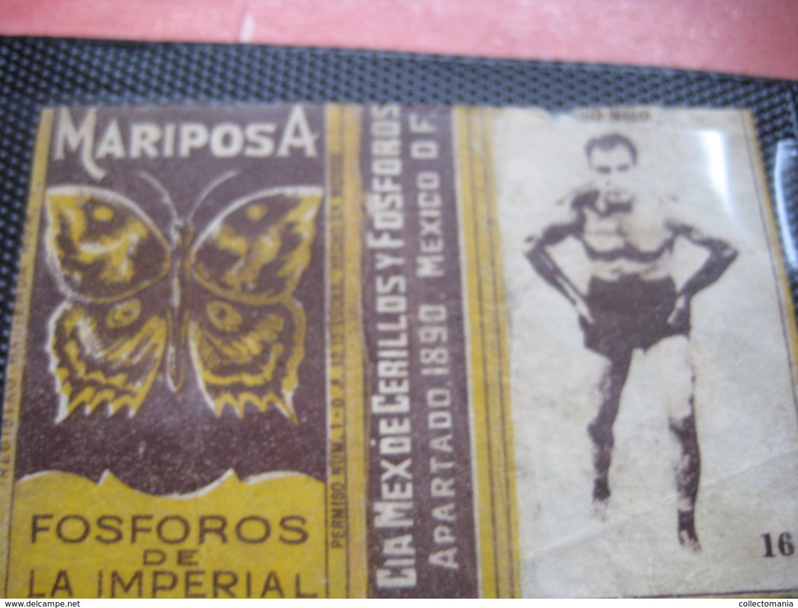 many cards, all photograped: photos, tradecards, cards, labels,  LUTTE 1907 poster stamp; Siam kick boxing ; ALBERT MAES