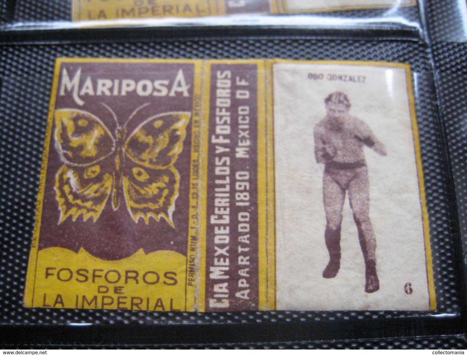 many cards, all photograped: photos, tradecards, cards, labels,  LUTTE 1907 poster stamp; Siam kick boxing ; ALBERT MAES