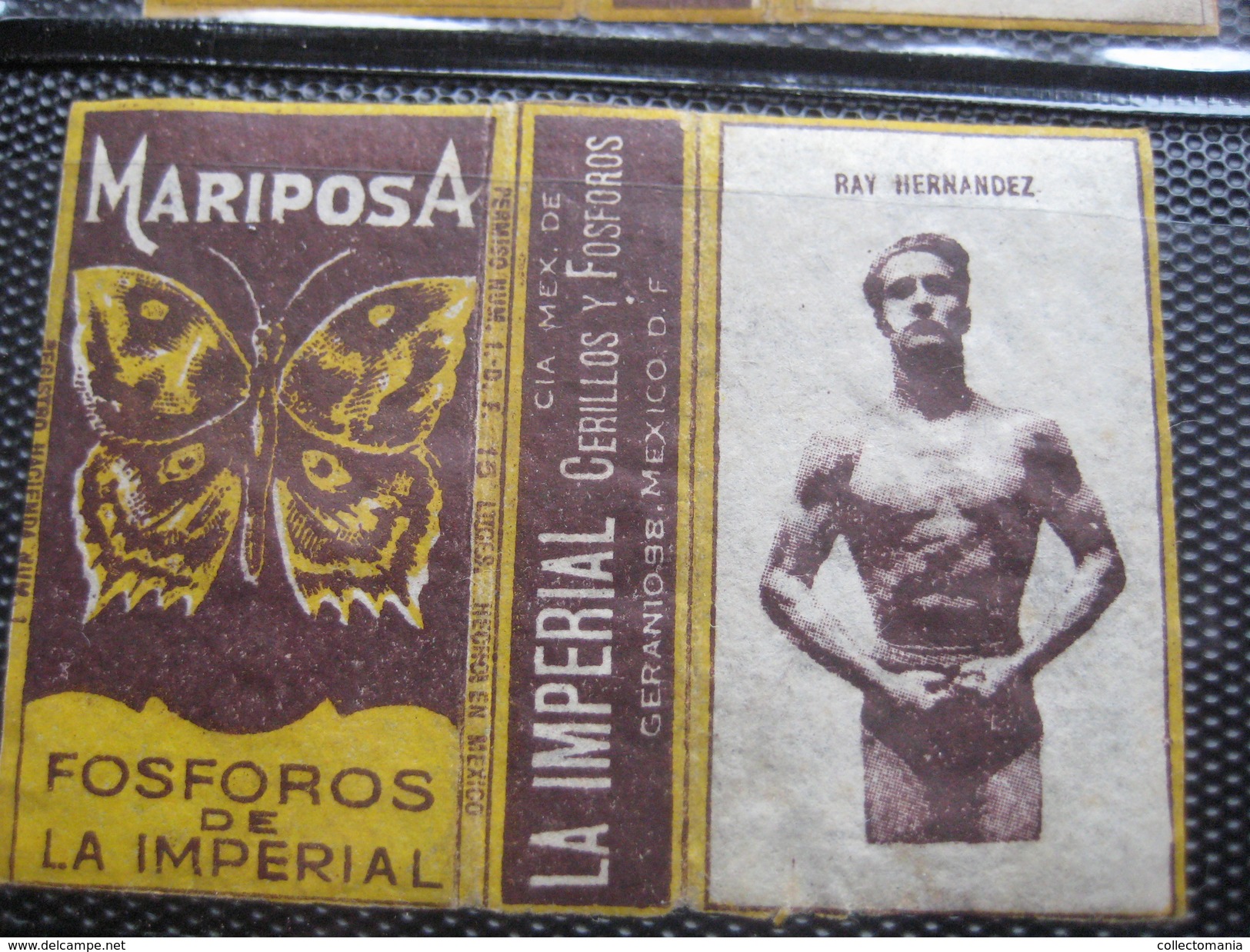 many cards, all photograped: photos, tradecards, cards, labels,  LUTTE 1907 poster stamp; Siam kick boxing ; ALBERT MAES