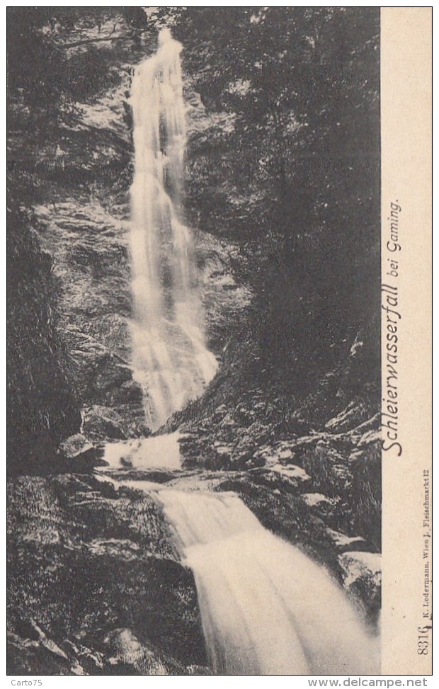 Autriche - Gaming - Schleierwasserfall - Chute D'eau - 1905 - Scheibbs