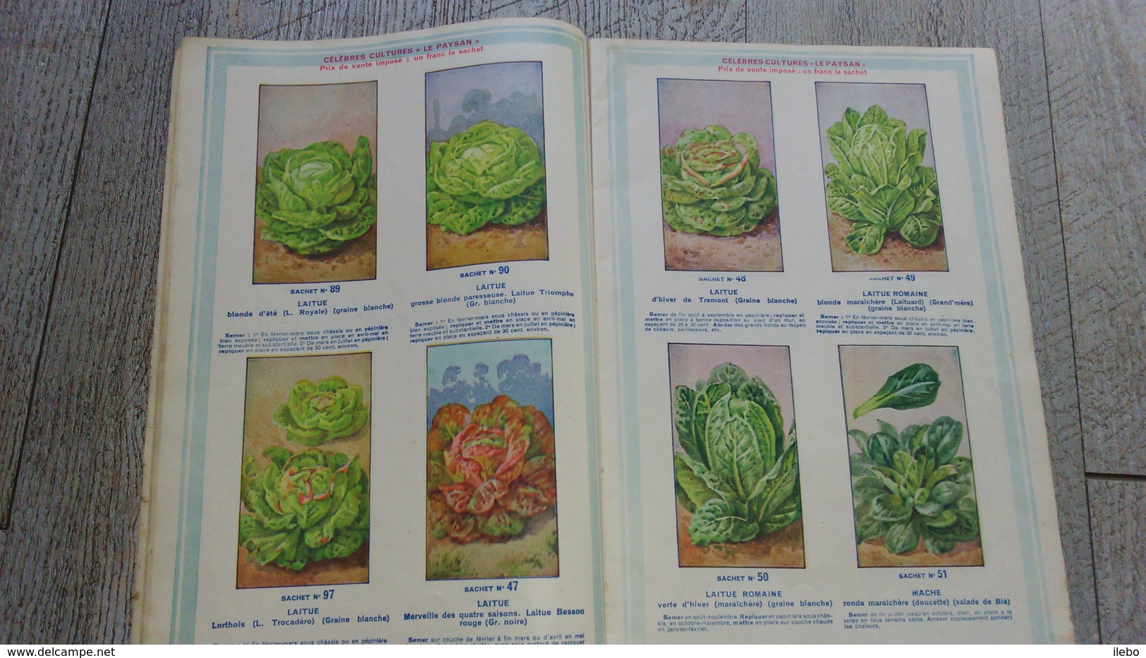 Guide Illustré De Semis Catalogue Le Paysan Graines Fleurs Légumes 1935 - Garten