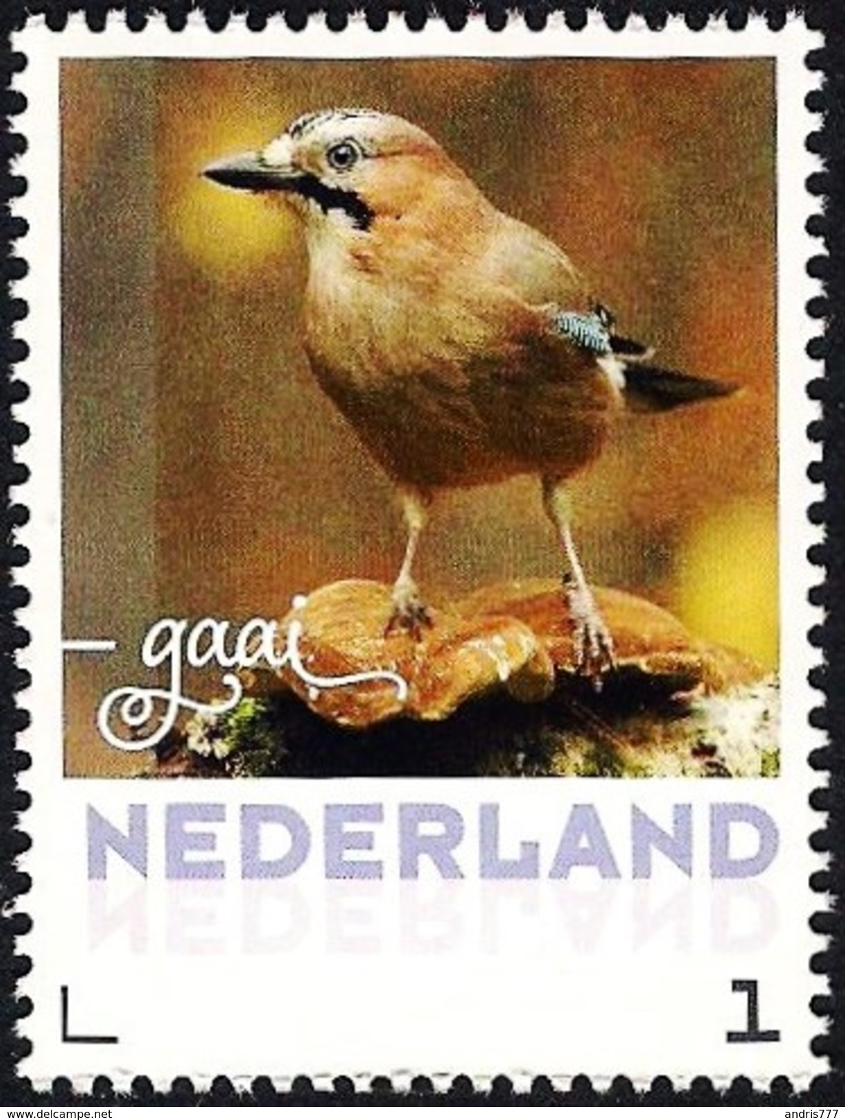 Netherlands Nederland 2017 - Bird - Eurasian Jay - Other & Unclassified