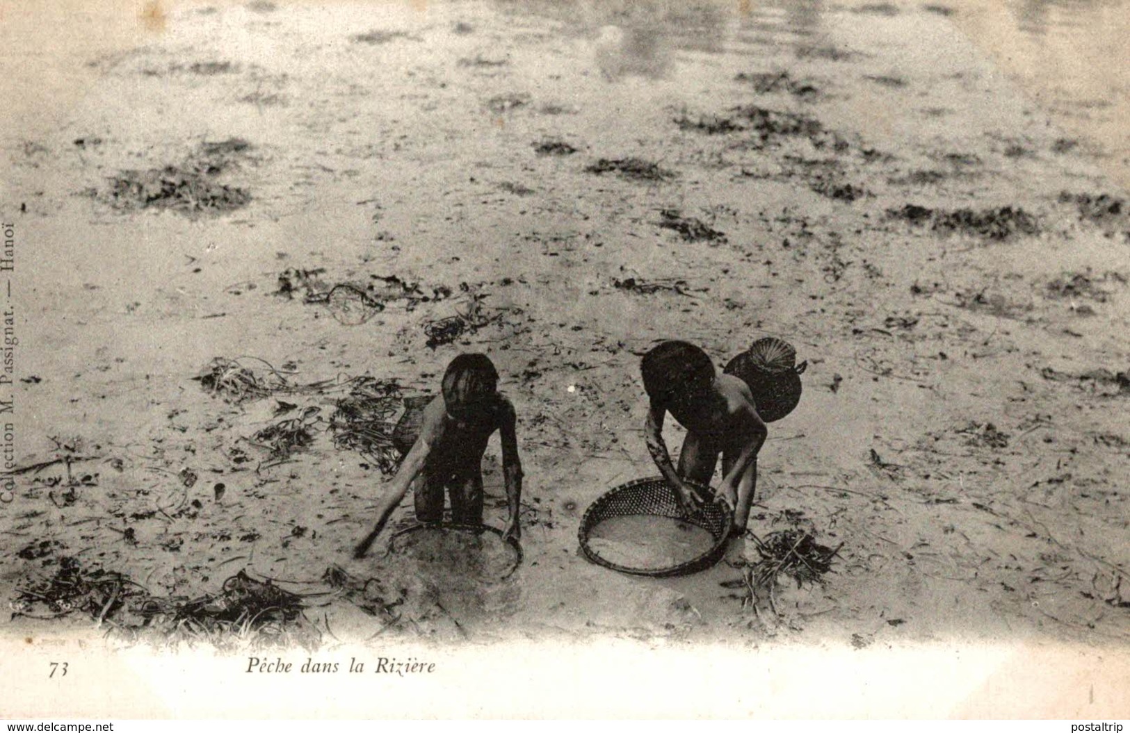 RARE     ASIE - VIET NAM -VIETNAM INDOCHINE Tonkin Péche Dans La Riziére - Vietnam