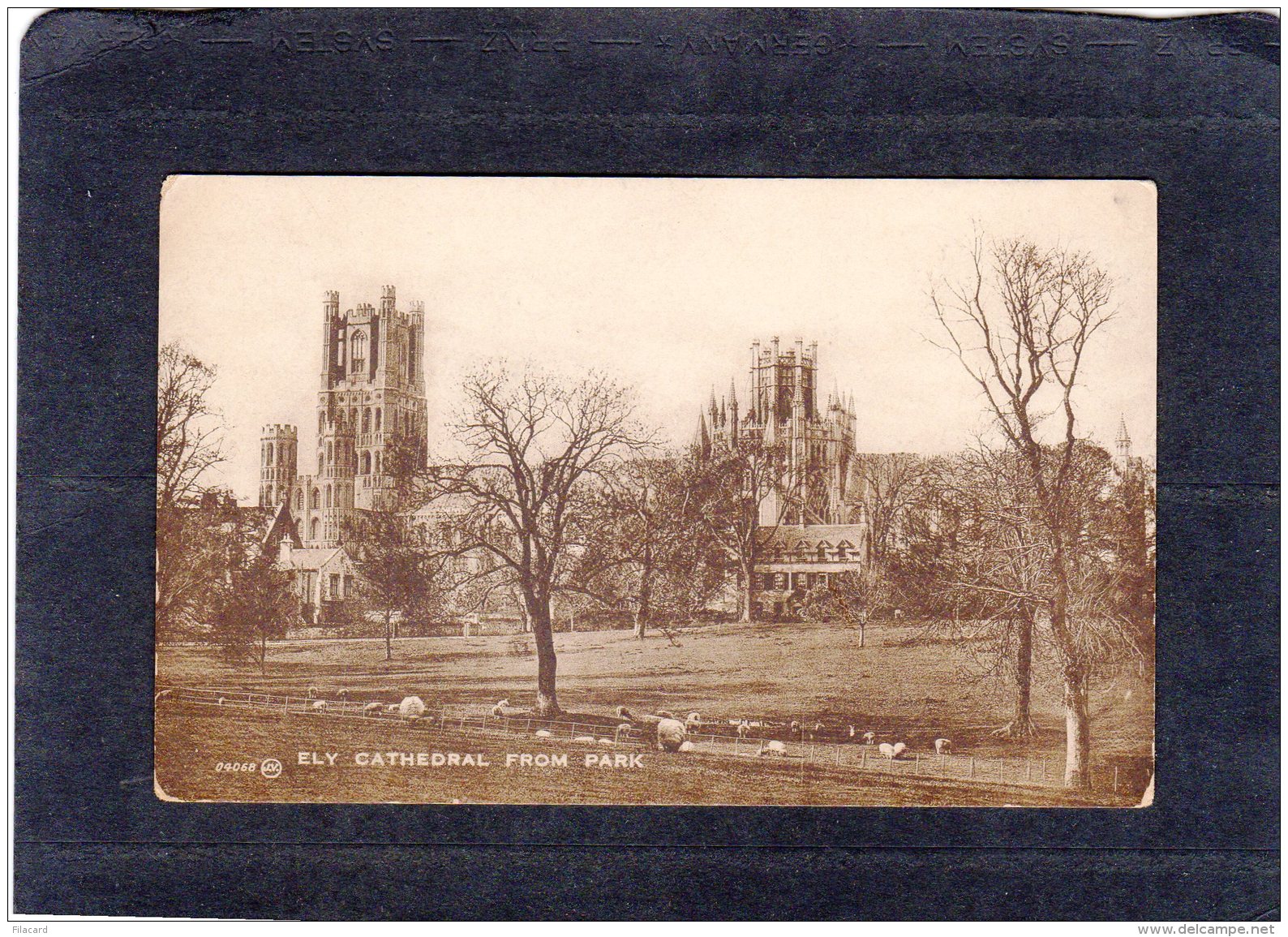 69328    Regno  Unito,   Ely Cathedral From  Park,  NV - Ely