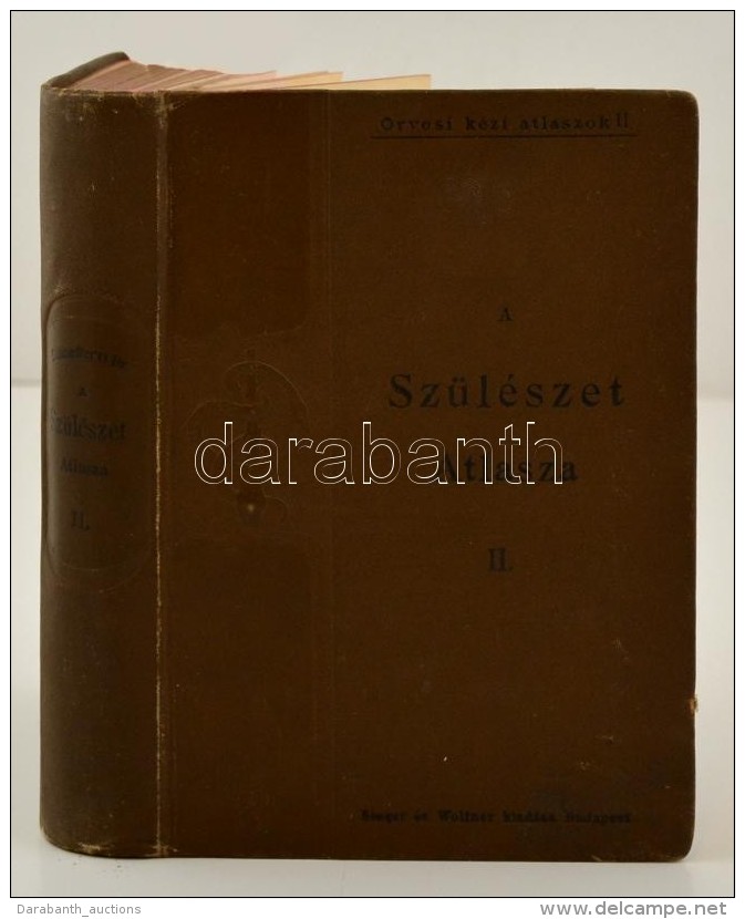 Dr. Schaefer Oszk&aacute;r: A Sz&uuml;l&eacute;szet Atlasza II. K&ouml;tet. A Sz&uuml;l&eacute;szeti... - Non Classificati