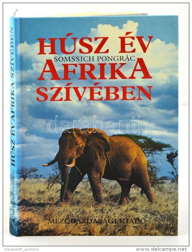 Somssich Pongr&aacute;c: H&uacute;sz &eacute;v Afrika Sz&iacute;v&eacute;ben. Bp., 1990, MezÅ‘gazdas&aacute;gi... - Non Classificati