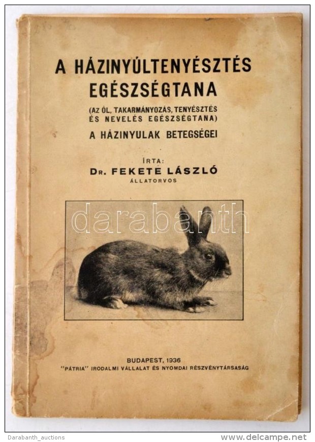 Dr. Fekete L&aacute;szl&oacute;: A H&aacute;ziny&uacute;lteny&eacute;szt&eacute;s Eg&eacute;szs&eacute;gtana. (Az... - Non Classificati