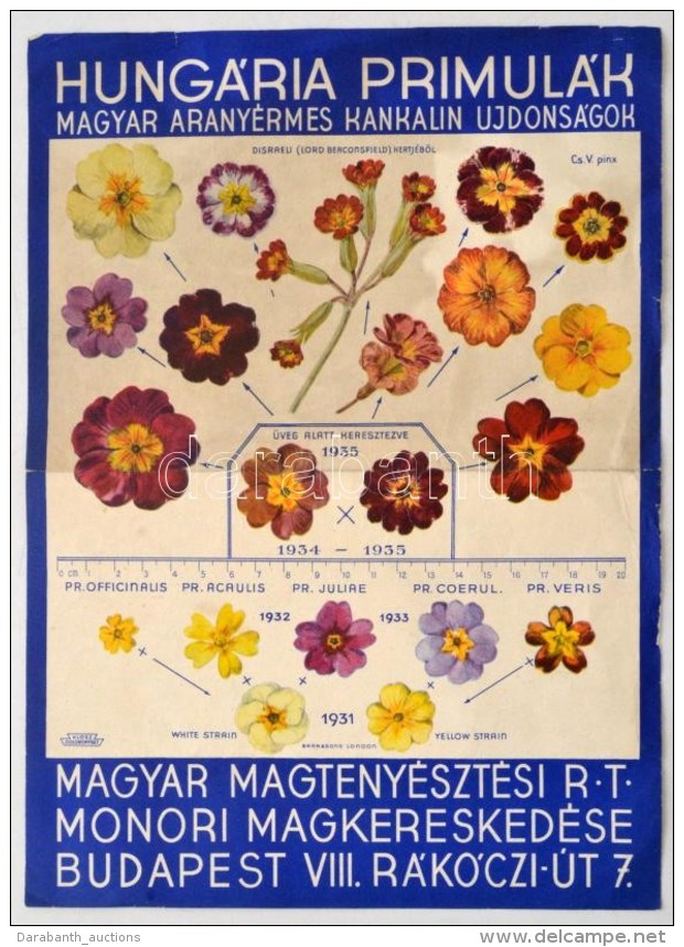 1935 Hung&aacute;ria Primul&aacute;k Magyar Vir&aacute;gok Plak&aacute;tja. 21x28 Cm - Altri & Non Classificati