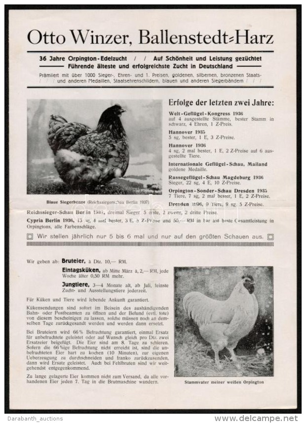 1937 Otto Winzer (Ballenstedt - Harz) Baromfi KereskedÅ‘ Prospektusa, N&eacute;met Nyelven./ 1937 Brochure Of Otto... - Non Classificati