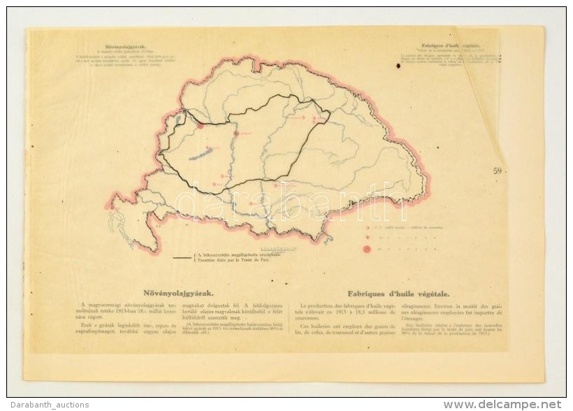 Cca 1920 N&ouml;v&eacute;nyolajgy&aacute;rak Magyarorsz&aacute;gon 1913-ban, A 'Magyarorsz&aacute;g... - Altri & Non Classificati