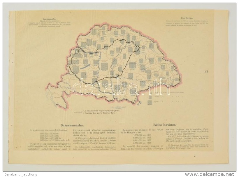 Cca 1920 Szarvasmarha&aacute;llom&aacute;ny Megy&eacute;nk&eacute;nt 1917-ben, A 'Magyarorsz&aacute;g... - Altri & Non Classificati