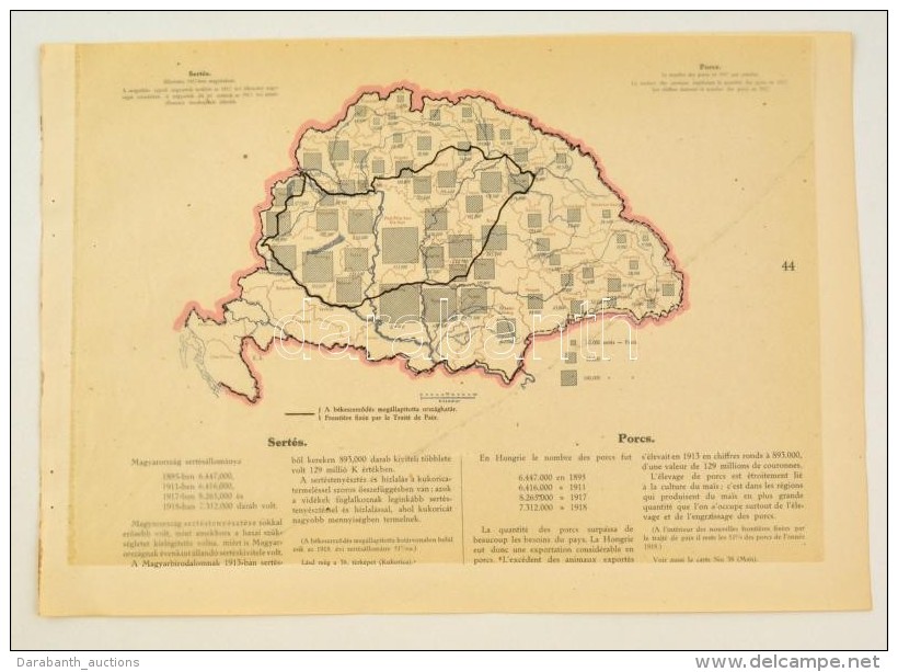 Cca 1920 Sert&eacute;s&aacute;llom&aacute;ny Megy&eacute;nk&eacute;nt 1917-ben, A 'Magyarorsz&aacute;g... - Altri & Non Classificati