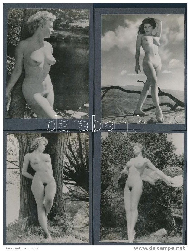 MÅ±v&eacute;szi Aktok, 8 Db, Kartonlapok K&eacute;t Oldal&aacute;ra Ragasztva, 12x9 Cm / 8 Nude Photos, 12x9 Cm - Altri & Non Classificati