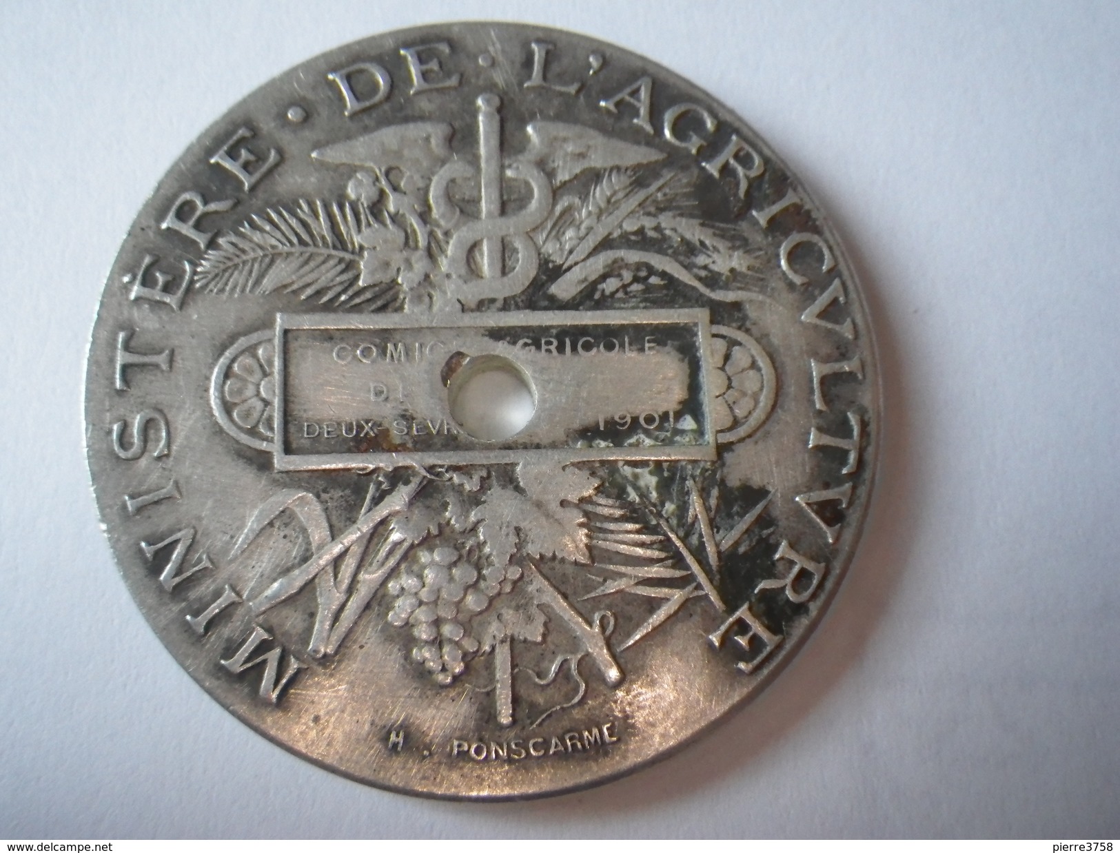 Médaille Ministére De L'Agriculture 1901 - Autres & Non Classés