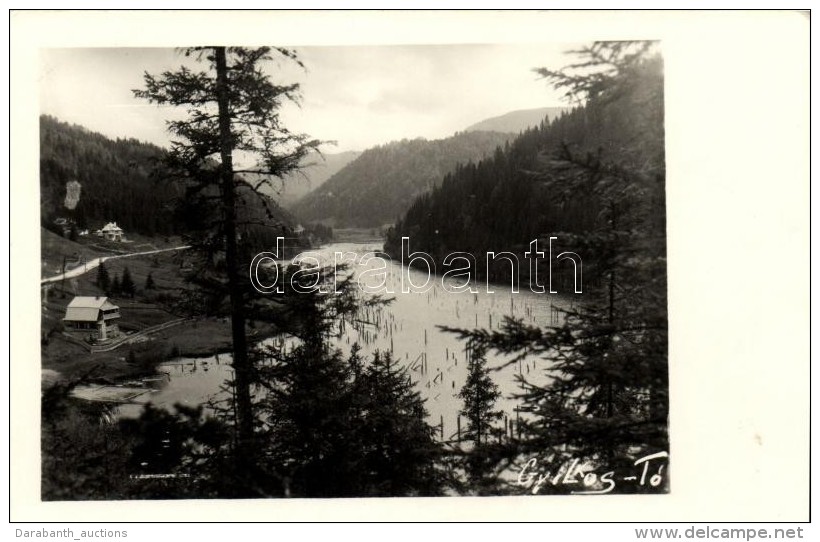 T2 Gyilkos-t&oacute;; G&aacute;ll B&eacute;la F&eacute;nyk&eacute;p&eacute;sz / Lake, Photo - Non Classificati