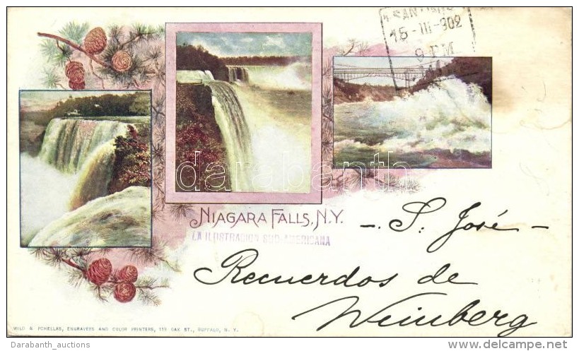 * T2/T3 Niagara Falls, Pinecone, Art Nouveau - Non Classificati