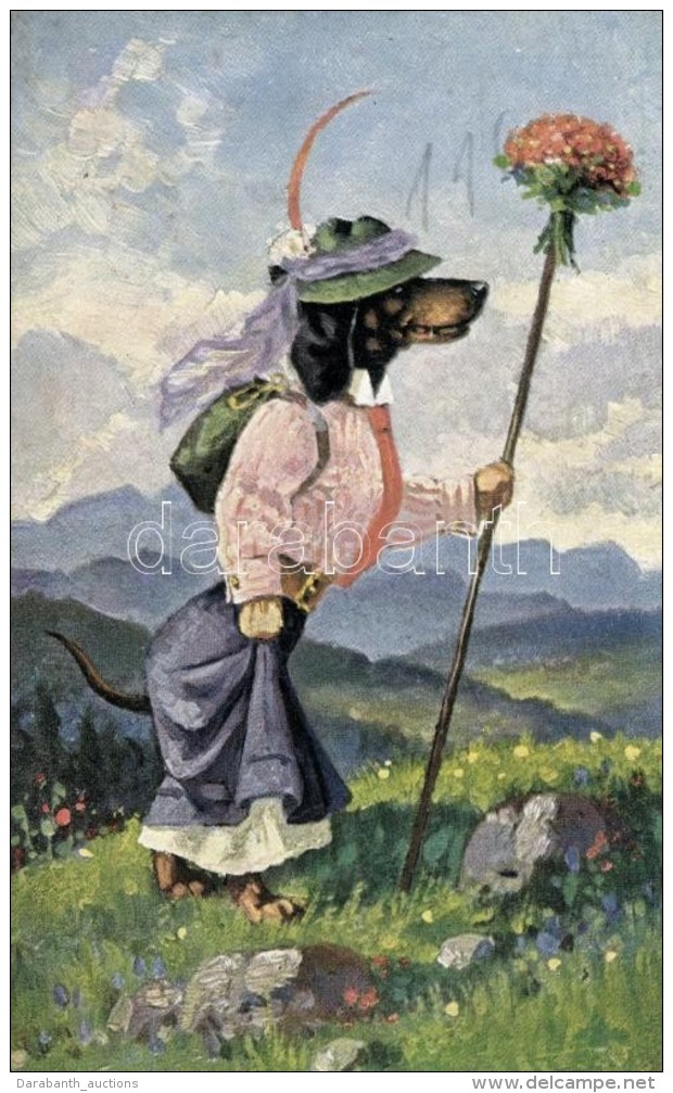 T2/T3 Alpinist Girl Dog, A. S. M. Nr. 1091. (EK) - Non Classificati