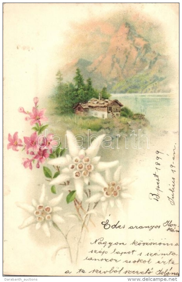 T2 1899 Flowers With Hut And Mountains In The Background, Litho - Non Classificati