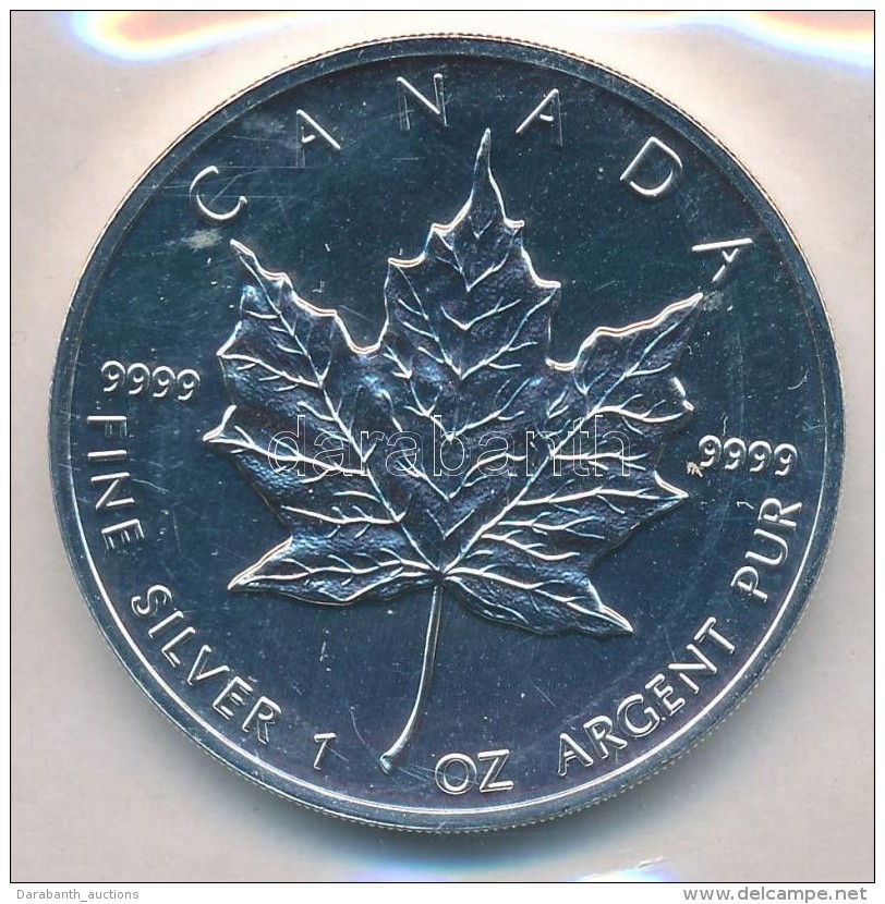 Kanada 1991. 5D Ag 'II. Erzs&eacute;bet' Lez&aacute;rt 'RMC (Royal Canadian Mint)' F&oacute;liatokban (31,1g/0.999)... - Non Classificati