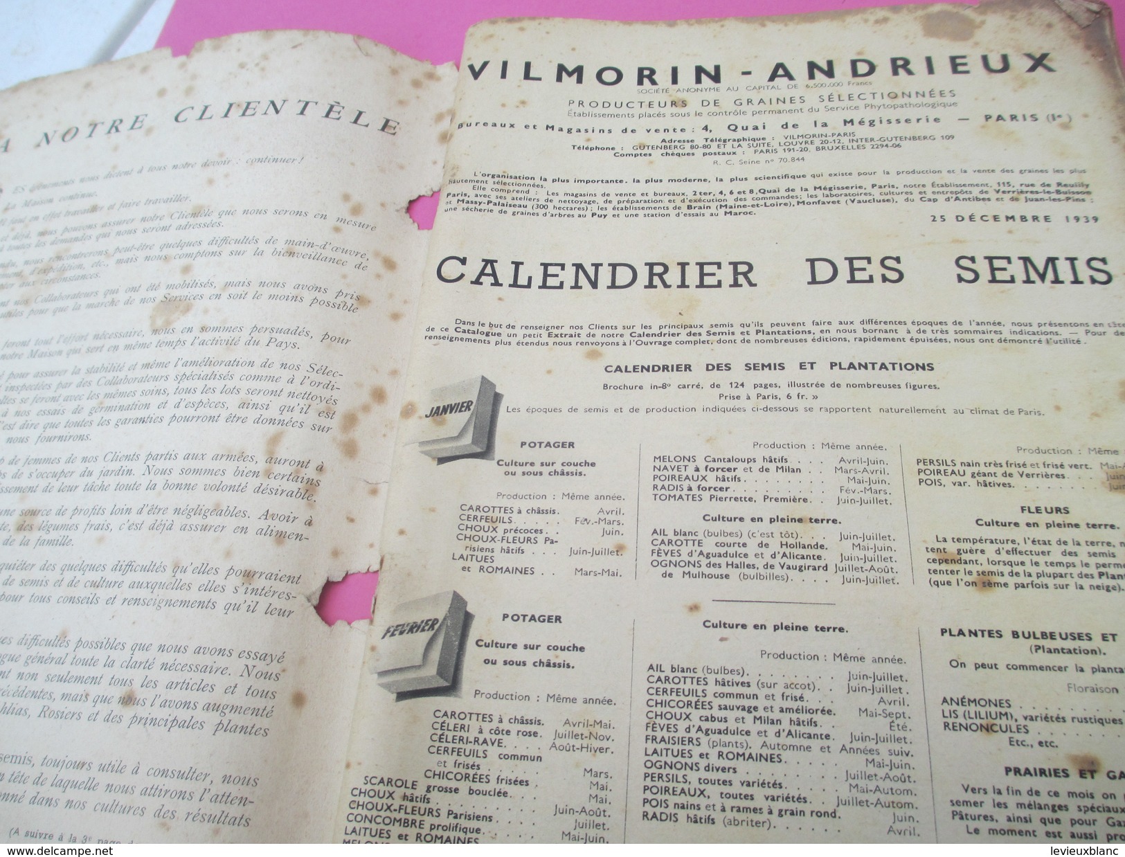 Catalogue/VILMORIN-ANDRIEUX/Producteurs De Graines Sélectionnées/ Paris / 1940      CAT192 - Garden