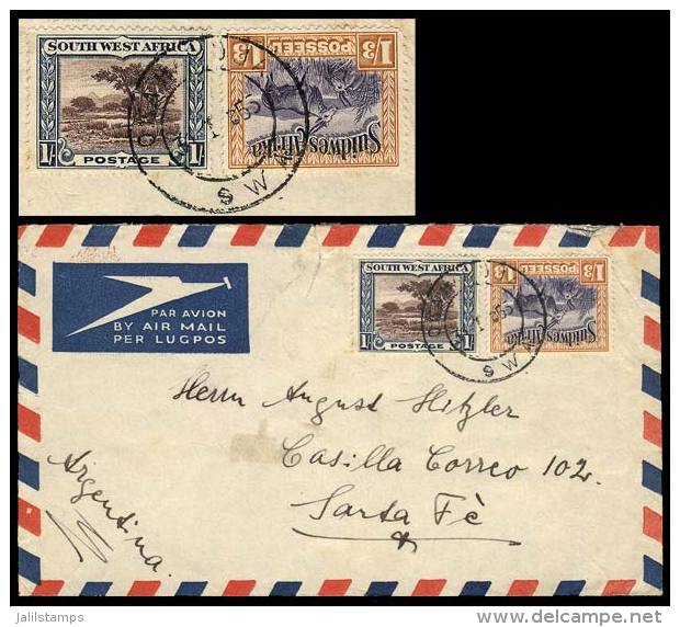 Airmail Cover Sent To Argentina On 31/JA/1953, Rare Destination! - África Del Sudoeste (1923-1990)