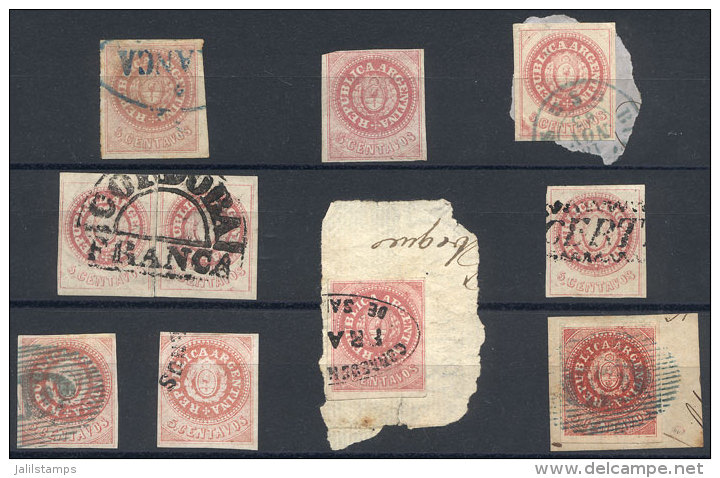 Stockcard With 10 Examples (with And Without Accent, Worn Plate, Narrow C, Etc.), Varied Cancels, Some Rare. The... - Usati