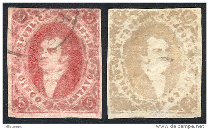 GJ.34e, Oily Impression Variety, IVORY HEAD, Very Nice! - Usati