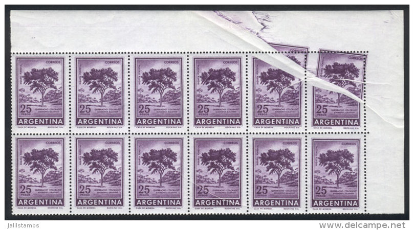 GJ.1312, 1965/8 25P. Quebracho Tree, Beautiful Sheet Corner Block Of 12 With SPECTACULAR PAPER FOLD, VF Quality! - Autres & Non Classés