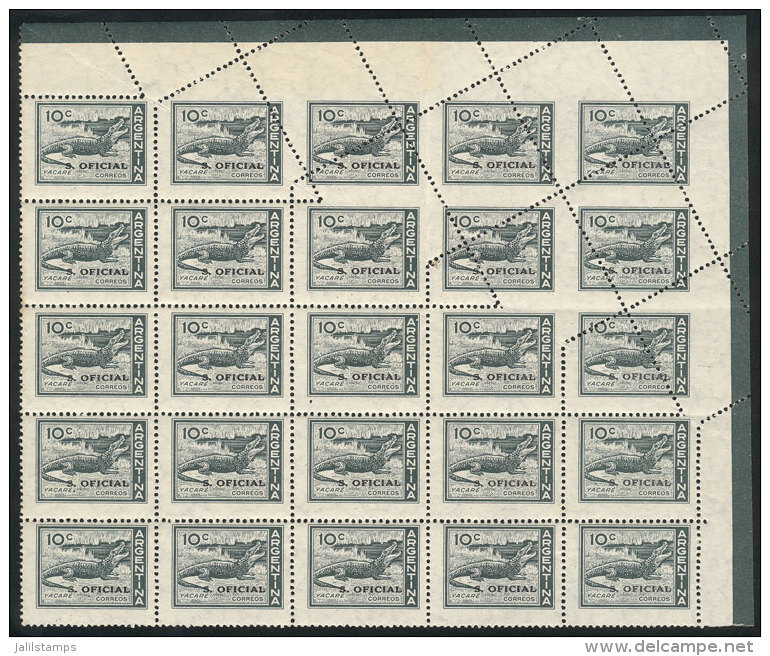 GJ.734, 10c. Yacare, Corner Block Of 25, Several Stamps With DIAGONAL PERFORATION Produced By A Pre-perforating... - Service