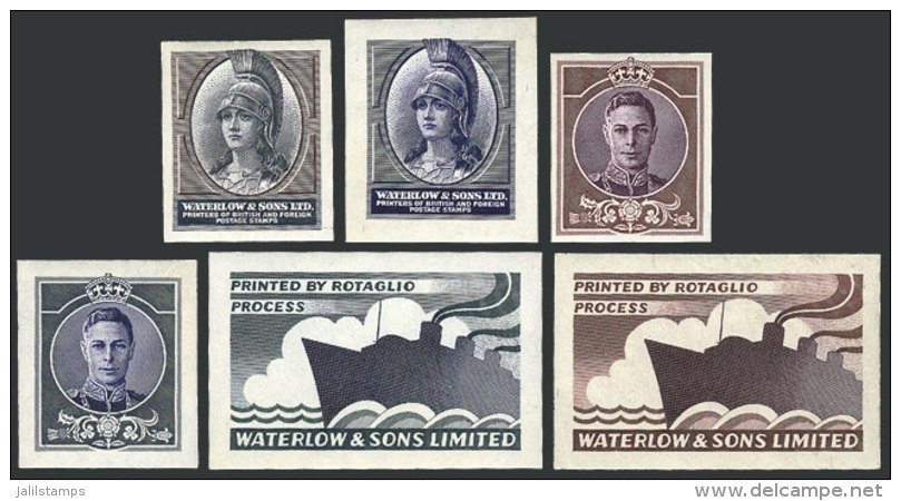 6 Proofs Of Cinderellas Or Labels Printed By Waterlow &amp; Sons Ltd. On The Paper That Was Used To Print Argentina... - Altri & Non Classificati