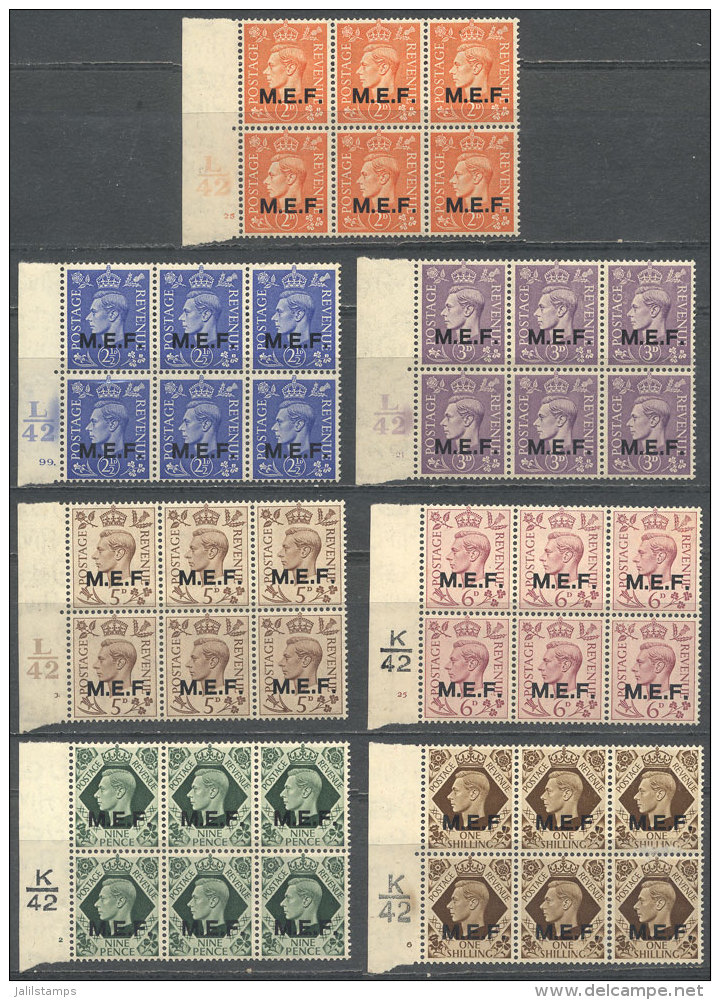 Lot Of Several Stamps In Blocks Of 6 With Sheet Margins With Interesting Inscriptions, MNH, VF Quality (the Right... - Occup. Britannica MEF