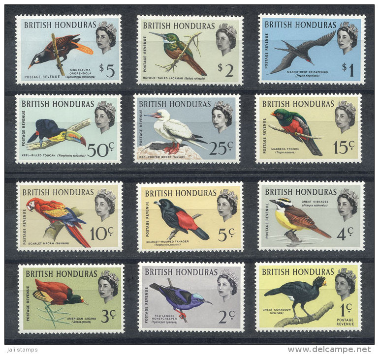 Sc.167/178, 1962 Birds, Complete Set Of 12 Values, Never Hinged, Excellent Quality, Catalog Value US$85.50 - Honduras Britannico (...-1970)