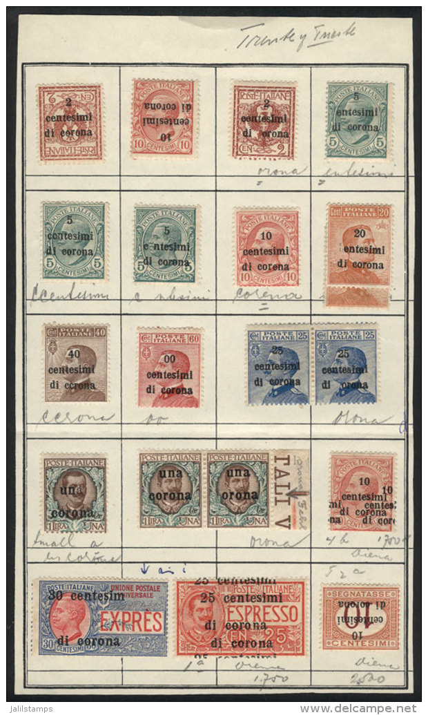 VARIETIES: Approvals Book Page With Stamps Issued In 1919, All With Good Overprint Varieties: Missing Letters,... - Trentin & Trieste