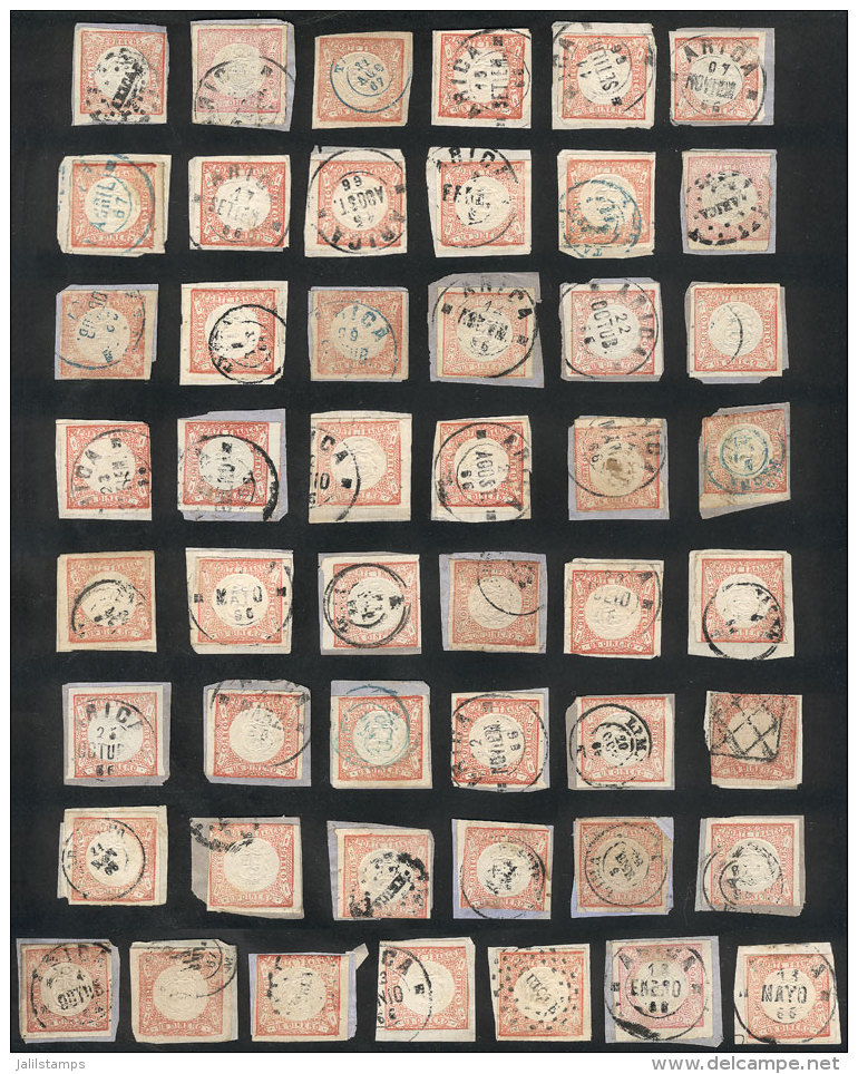 Sc.12, 49 Used Examples (almost All On Fragments), Most Of Very Fine Quality, And Many With Datestamps Of TACNA And... - Perù