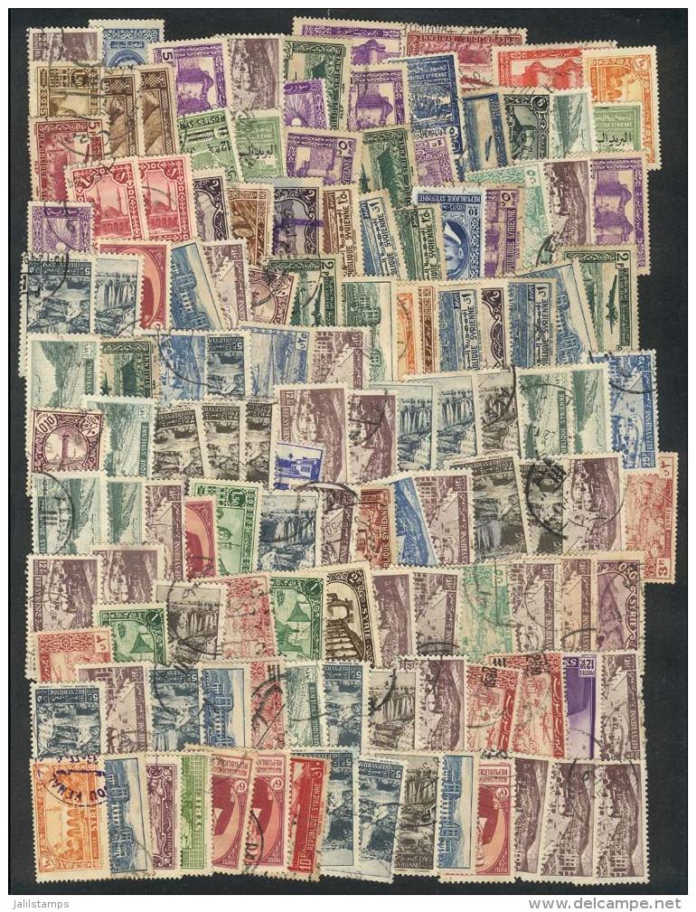 Lot Of Large Number Of Used Stamps On Fragments, Perfect Lot To Look For Rare Postmarks, VF Quality! - Syrie