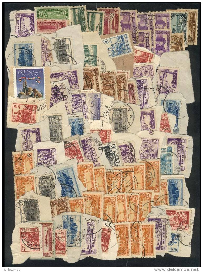 Lot Of Large Number Of Used Stamps On Fragments, Perfect Lot To Look For Rare Postmarks, VF Quality! - Syrie