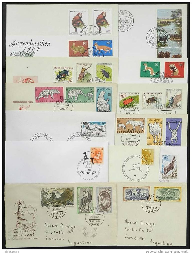 TOPIC FAUNA: 14 FDCs Of Various Countries, Very Nice! - Autres & Non Classés