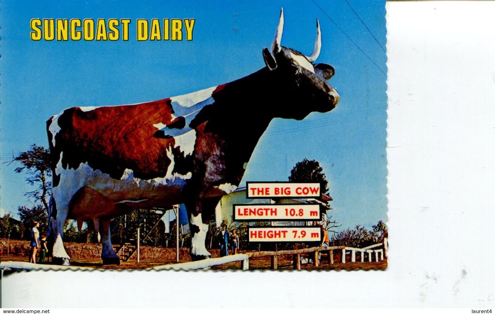 (715) Australia - QLD - Suncoast Dairy Big Cow - Sunshine Coast