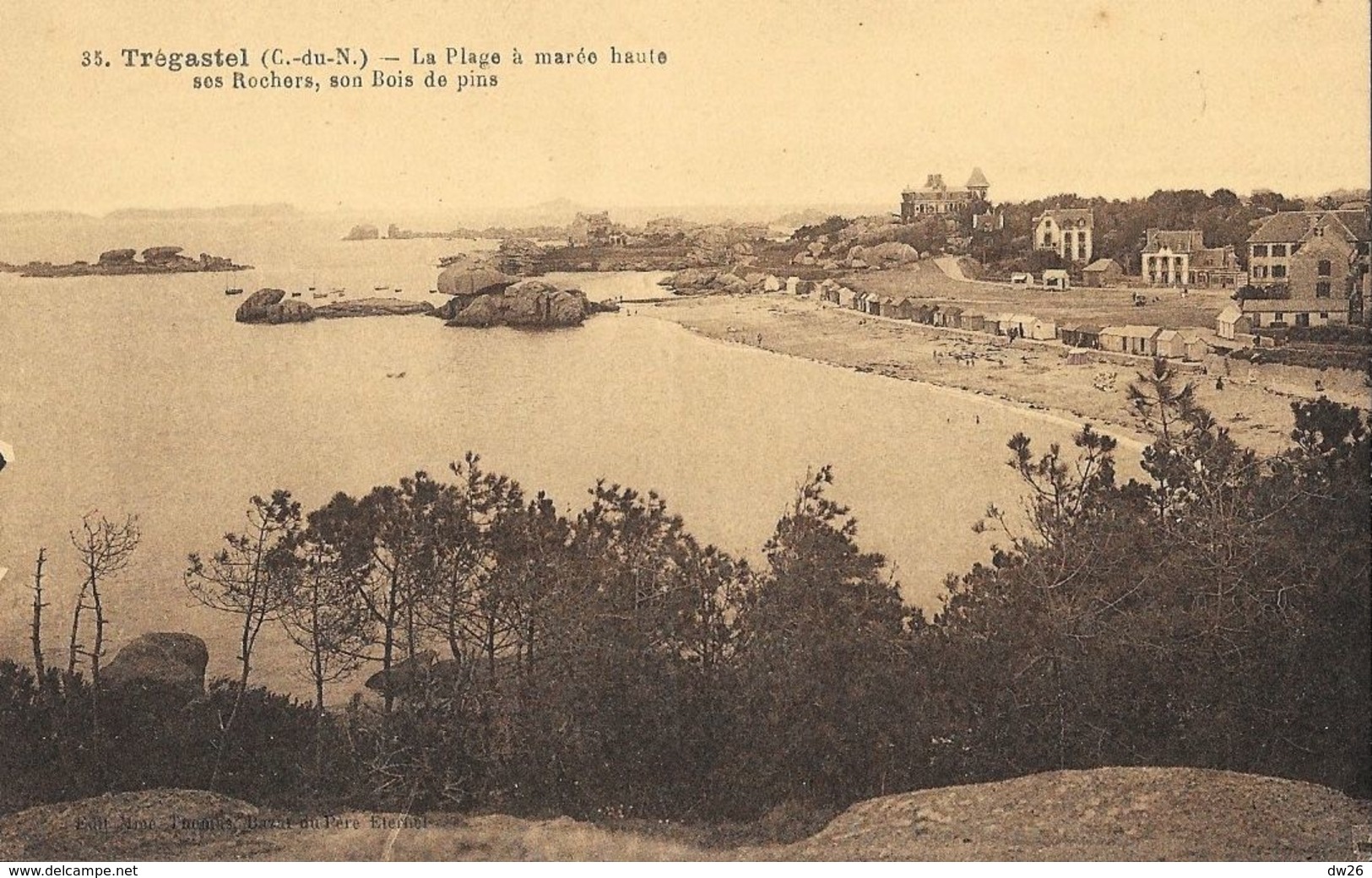 Trégastel (Côtes-du-Nord) - La Plage à Marée Haute, Ses Rochers, Son Bois De Pins - Carte Non Circulée - Trégastel