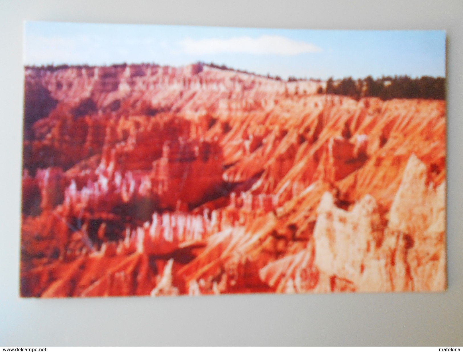 ETATS-UNIS UT UTAH BRYCE CANYON FROM SUNRISE POINT - Bryce Canyon