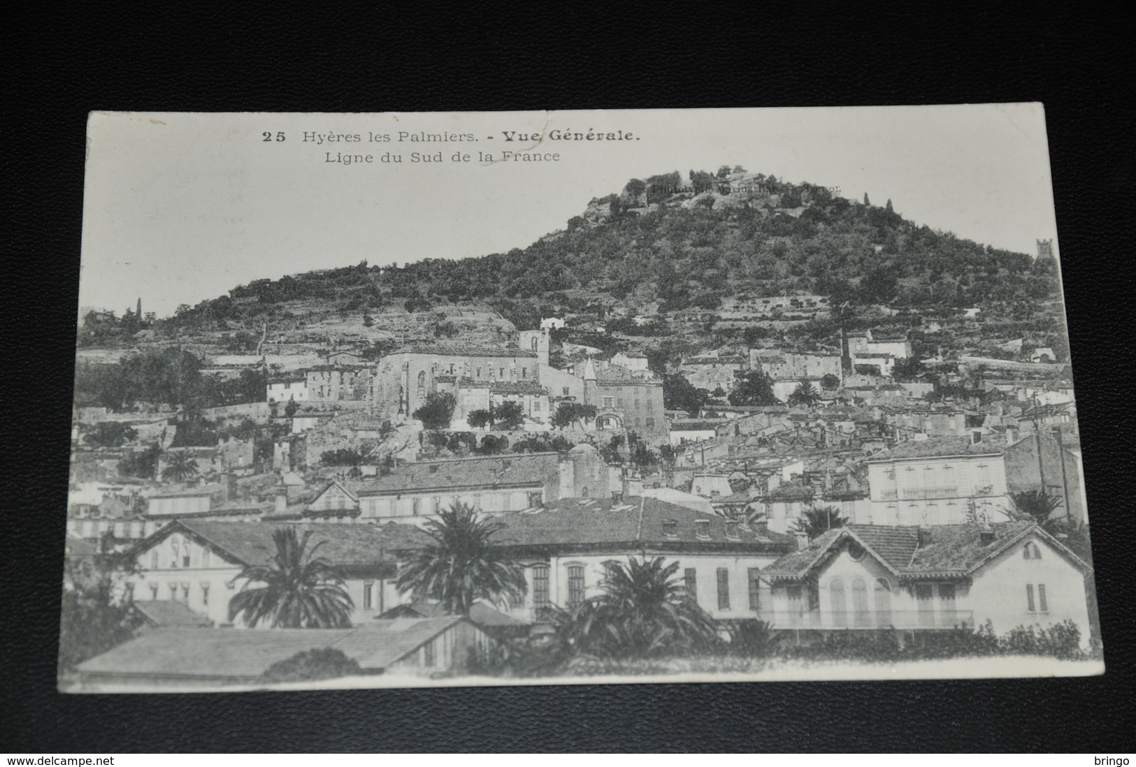 413- Hyères Les Palmiers, Vue Générale - Hyeres