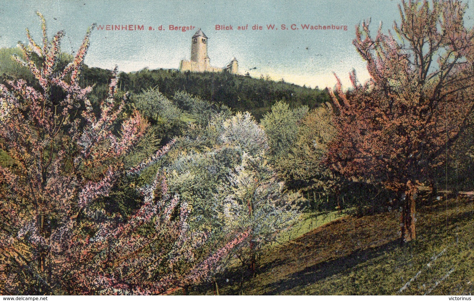 WEINHEIM  A. D. B. -   BERGSTR.  BLICK AUF DIE W. S. C. WACHANBURG  -  Septembre 1911 - Weinheim