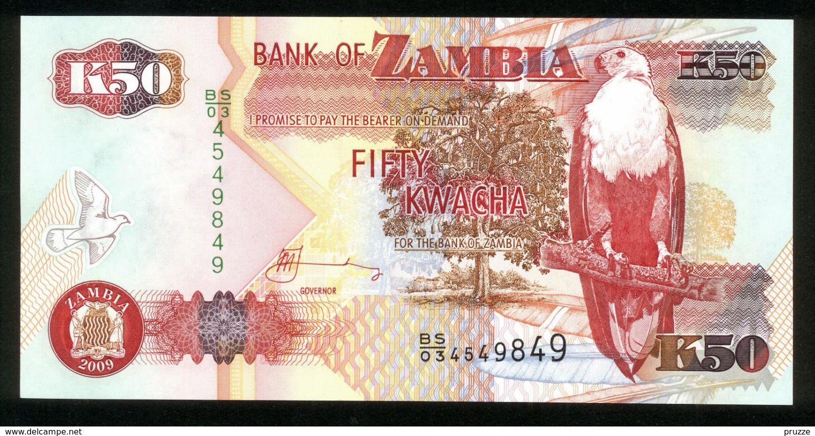 Sambia - Zambia 2009, 50 Kwacha - UNC - BS 03 4549849 - Zambia