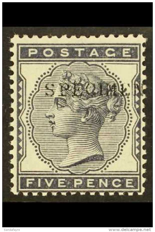 1881 5d Indigo With "SPECIMEN" Overprint, SG 169s, Never Hinged Mint. Superb Quality. For More Images, Please... - Autres & Non Classés