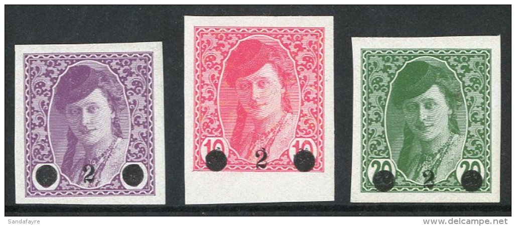1919 ISSUES FOR BOSNIA AND HERZEGOVINA 2h Surcharges On Imperf Newspaper "Bosnian Girl" Stamps - The Complete Set... - Autres & Non Classés